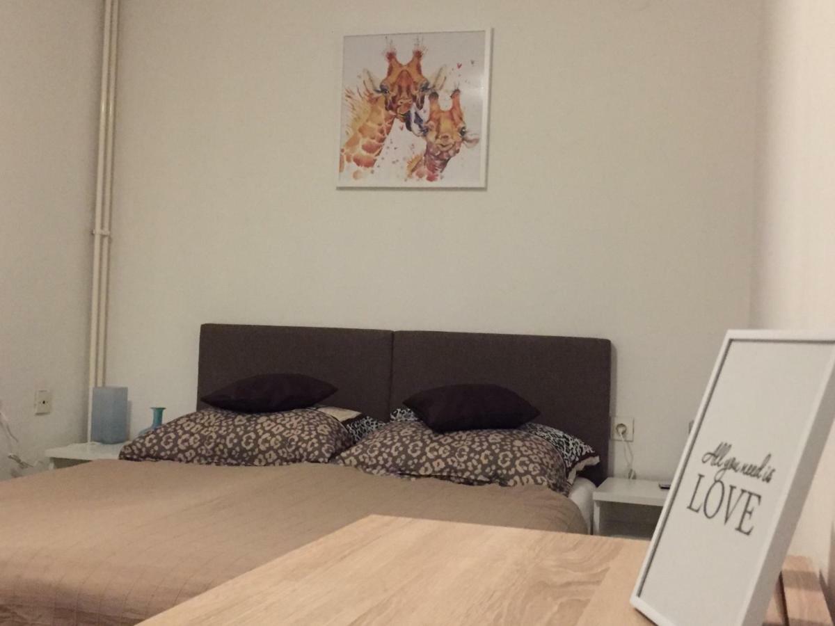 Apartment كارلوفاتش المظهر الخارجي الصورة